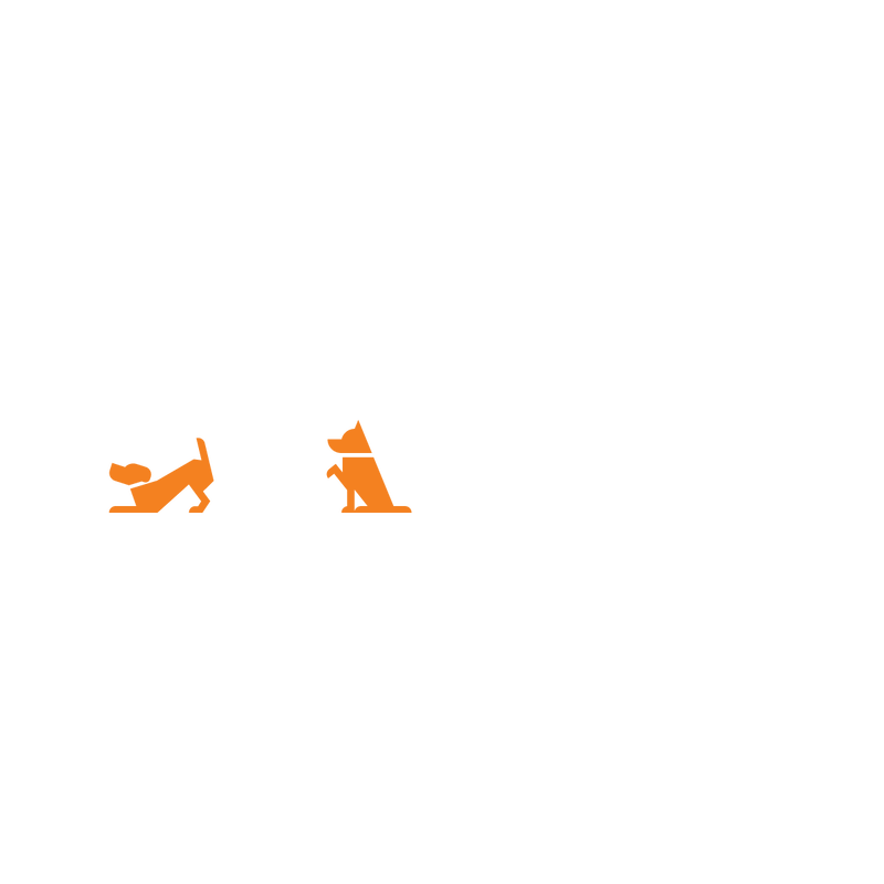Cani-Active - Signature - Tofubox ©