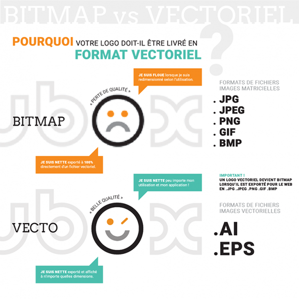 Bitmap vs Vectoriel - Infographie - Tofubox ©